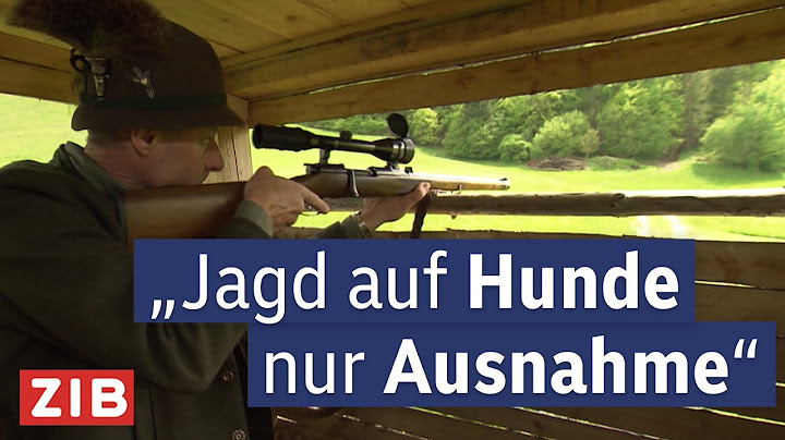 Jagd unter Beschuss: Wolf, Hundeabschuss und Trophäen im Faktencheck | Aktuell nach eins 16.05.2025