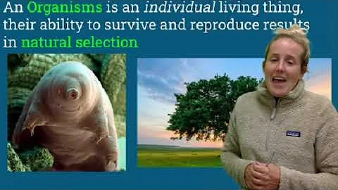 Tilton APES: Introduction to Ecosystems - Lecture #1