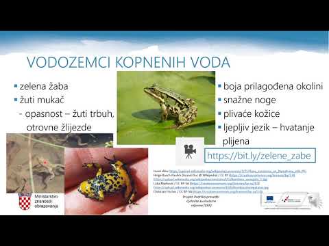 Priroda 6.r. - Živa bića kopnenih voda, 2.dio