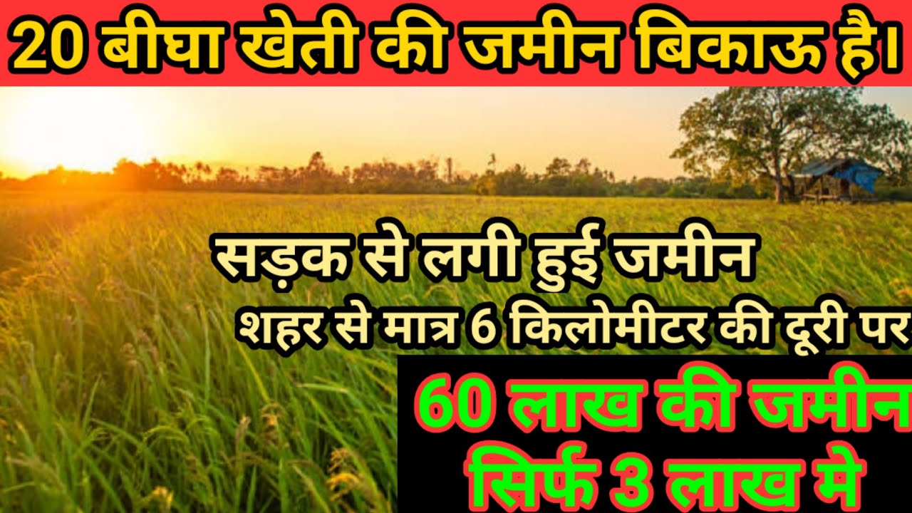 Agriculture land for sale on very cheap price in bareilly uttar Pradesh 20 bigha price 3 lakh rupee