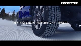 Открой свою истинную страсть (Winter SUV)