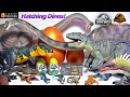 Hatching New Jurassic World Chaos Theory Dinosaurs! Giganotosaurus, Indoraptor, Indominus Rex