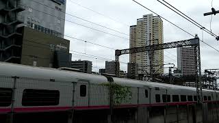 JR East E2 Series Shinkansen JR東日本 E2系新幹線
