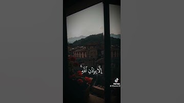 تلاوة هادئة ومريحة🤲🏻🌙🌿#قران_كريم #تلاوات_خاشعة
