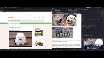 Drupal Gatsby Preview setup walkthrough