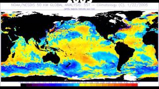 1996-2016 Sea Surface Temperature