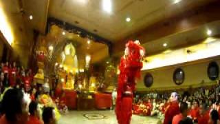 Lion Dance at Vietnamese Buddhist Centre