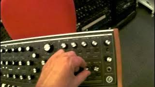 Moog Sub37 Dub chords