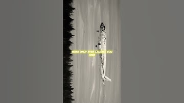 "Make every moment count?-