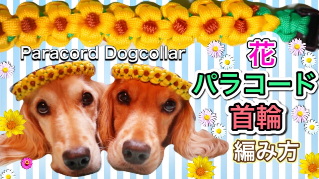 パラコードで花の首輪の編み方☆犬用＆猫用 Paracord Flower knot Dog