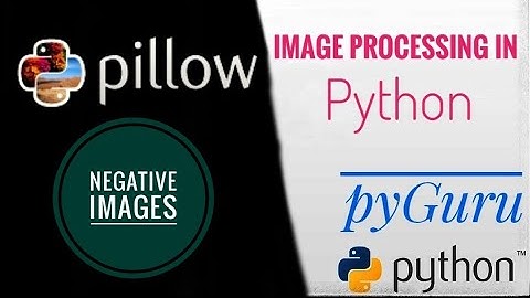 PIL | Negative images | Inverting image color | pyGuru