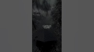 قل متاع الدنيا قليل و الآخرة خير لمن اتقى | سورة النساء | #يوسف_الصقير #القرآن #القران_الكريم #quran