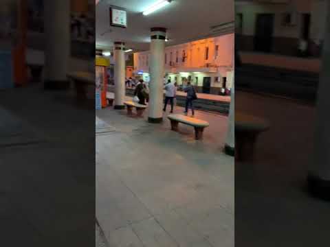 محطه المنيا