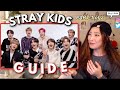 STRAY KIDS GUIDE : an introduction to: stray kids (2020 edition) REACTION PART 1