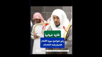تلاوة خيالية رائع 😍 لفواتيح سورة الأنعام للشيخ وليد الشمسان 🕋🌿 #المصحف #الوليد_الشمسان #الحرم_المكي