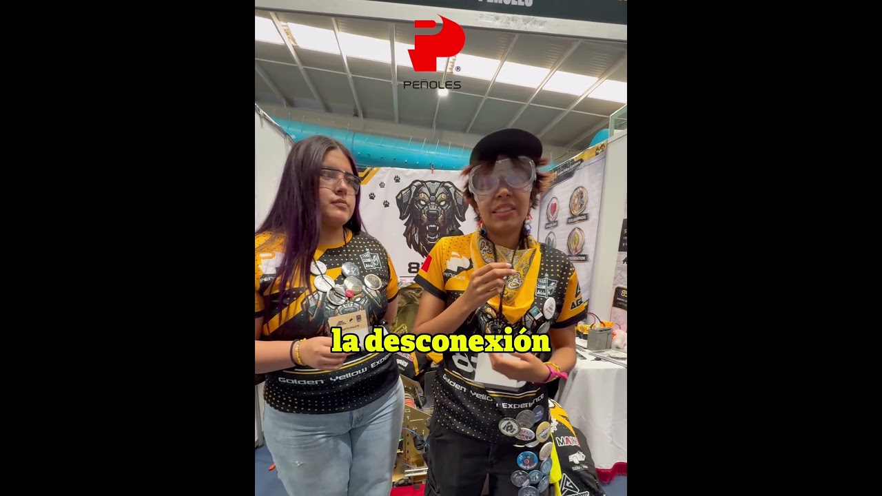 Equipo Golden Yellow Experience