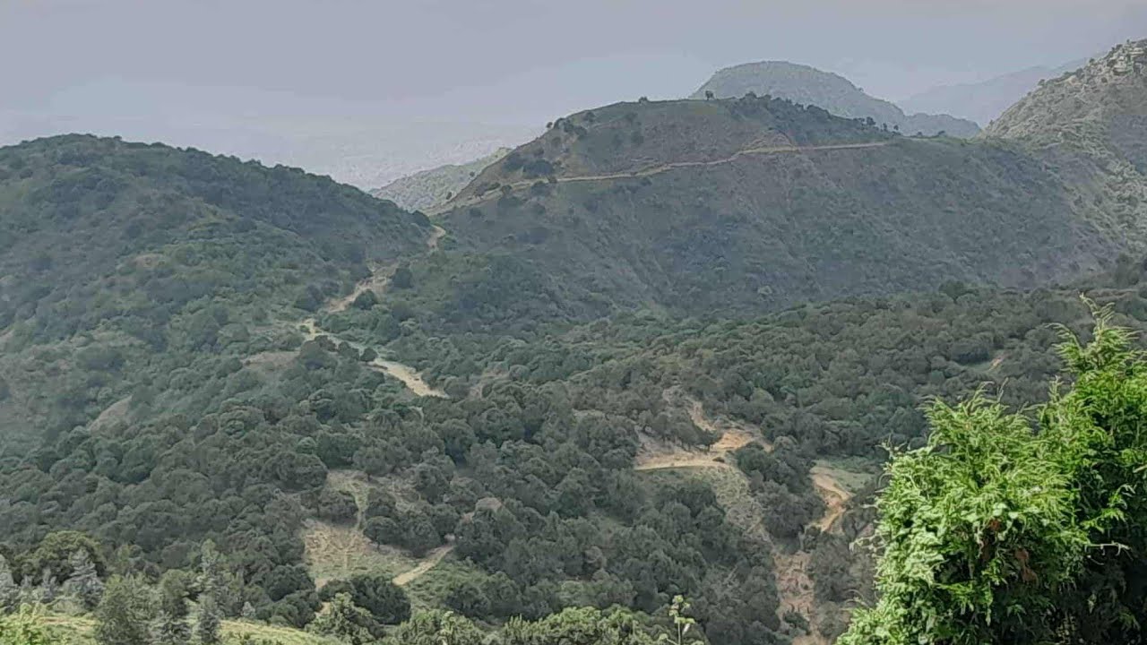 Gebremichael weldegergs selam gays