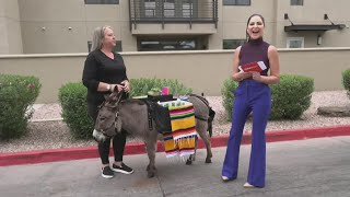 Why not hire a Beer Burro for you next event
