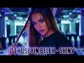 DJ HÜSEYİN BELEK - SHINY (2021) NEW YEAR SPECIAL MIX