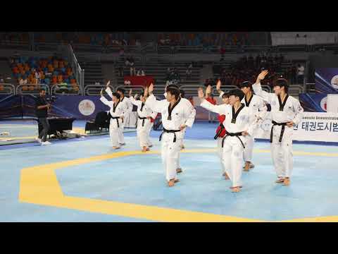 Korean Ambassador Taekwondo Championship & Kukkiwon Performance | Event Highlights | KCC Egypt(2025)
