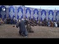 اساطيل التحطيب مركز البلينا اللعب علي المزمار والطبل البلدي الصعيدي
