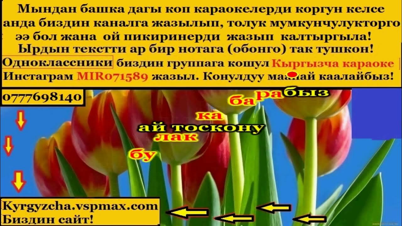 Урюк мирсанджали. Орук шербет. Ууле херек. Орук текст. Ужуглелим байырлыг класс шагы.
