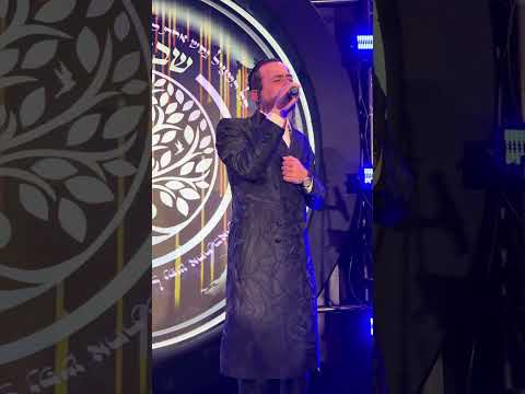 Meilech Braunstein - Renewal Shabbaton 2025