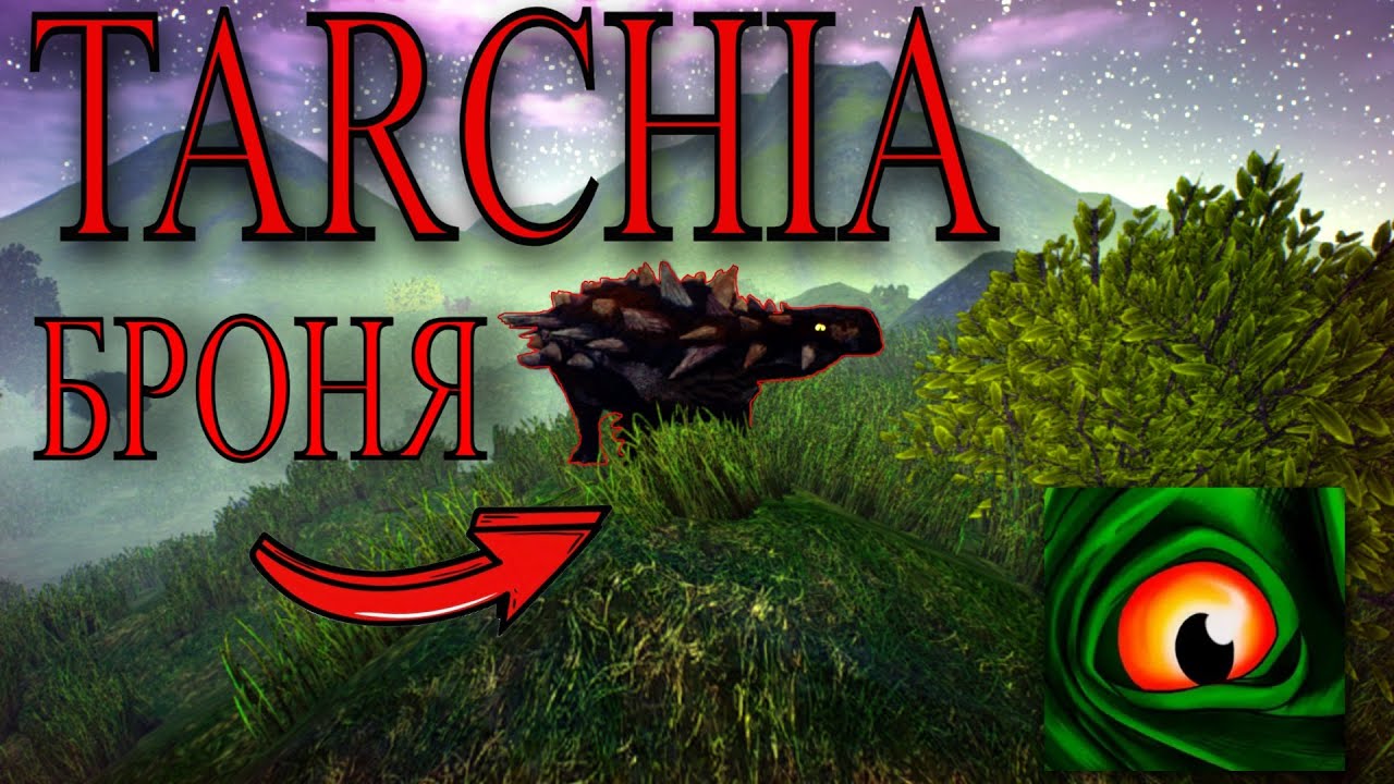 ПЕРВЫЙ РАЗ ЗА TARCHIA: ЧТО ИЗ ЭТОГО ВЫШЛО?