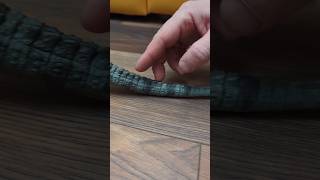 Which dino?🦖🔥|Что за динозавр? #dinosaur #динозавр #shorts #toys #mattel #jurassicworld #hammond