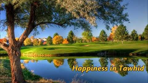 Happiness in Tawhid by Umar quinn