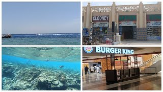 Красивый риф отеля Sheraton/Джордж Клуни - самый дешевый магазин в Шарме/Дьюти фри в аэропорту Шармы