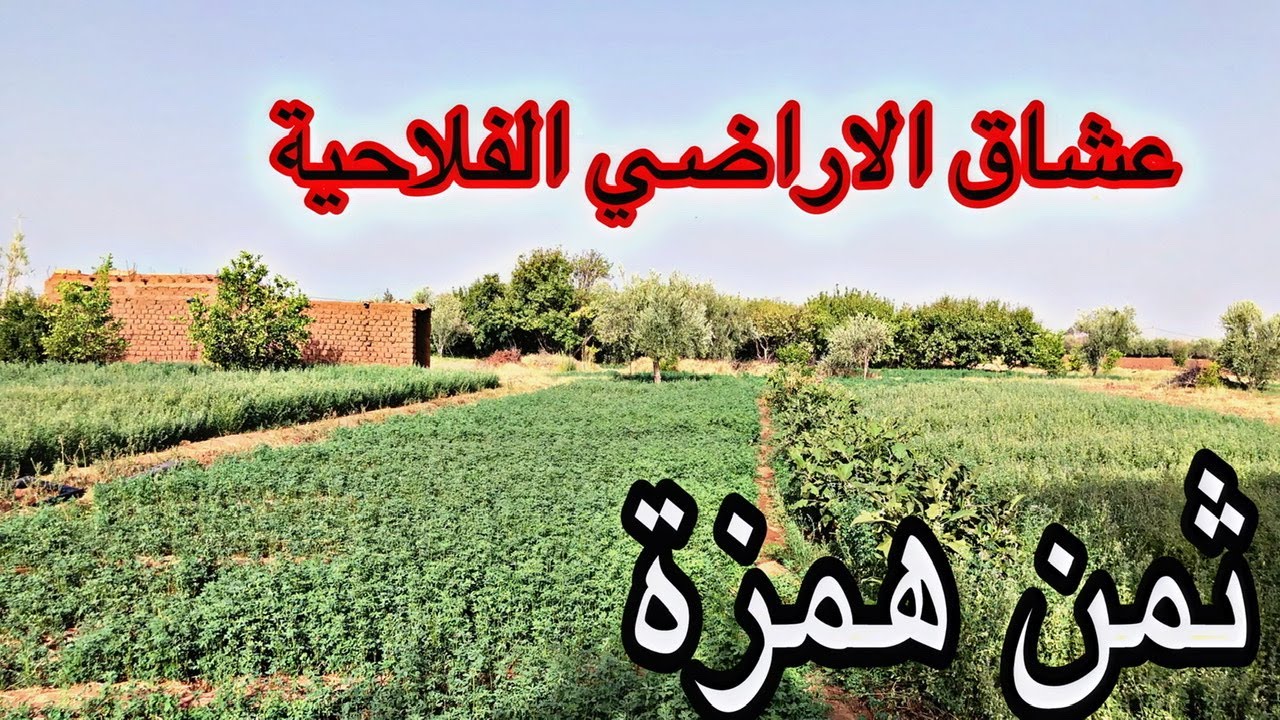 عشاق الاراضي الفلاحية نواحي مراكش