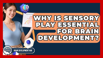 Why Is Sensory Play Essential For Brain Development? - Brain Development Hub