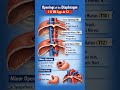 #anatomy #mbbs #bpt