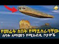 እጅግ ለማመን በሚከብድ መልኩ የመሬት ስበት የማይሰራባቸው 7 የአለማችን ልዩ ቦታዎች @HuluDaily - ሁሉ ዴይሊ