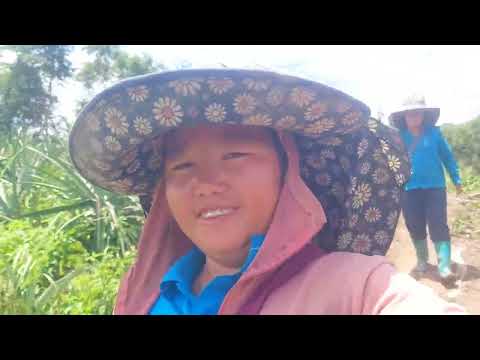 Mug Khawb Qhov Txiv Ib Hnub Ua Ib Pluag Hmo Qab2 Peb Noj Og