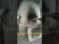 El proceso de horneado de pan de Muerto.
