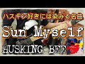 HUSKING BEE - SUN MYSELF ギター弾いてみた(Guitar Cover)