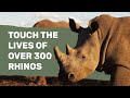 We cant save the rhino on our own get involved at rockwood