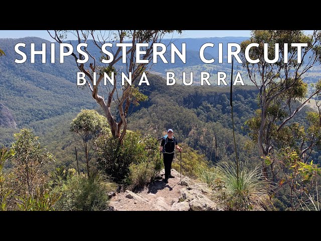 Hiking Coomera Circuit in Binna Burra - Get Out There Adventures