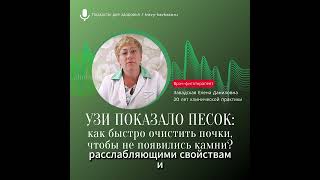 Как очистить почки, чтобы не появились камни? Подкаст с фитотерапевтом