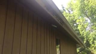Pressure Washing wood siding, with the soft Wash method in Kingsport TN screenshot 3