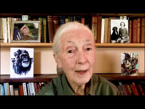 Jane Goodall Addresses Geospatial World Forum 2022