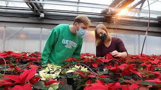 Horticulture Technician program at Vancouver Island University