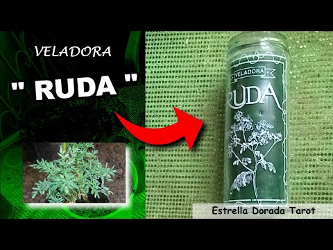 🎬 Video relacionado con velas de ruda