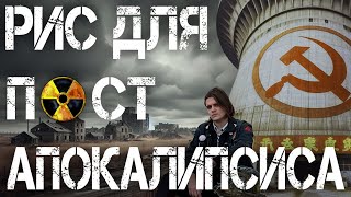 САМОЗАВАРИВАЮЩИЙСЯ РИС | ЕДА ДЛЯ КОНЦА СВЕТА | КИТАЙСКАЯ ЕДА