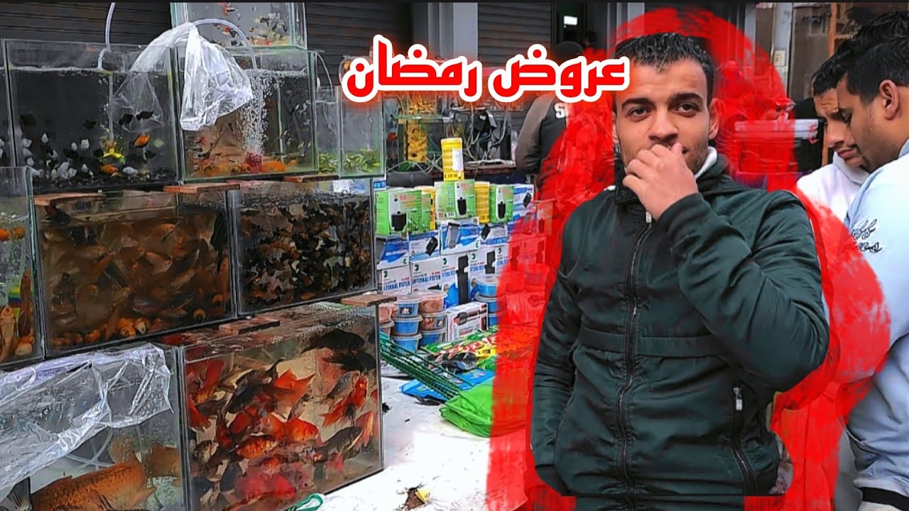 اسعار سوق الجمعه سمك زينه حواض سمك عروض رمضان