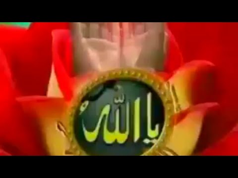 Rayyaa Abbaa Mancaa Nashidaa Bareedduu