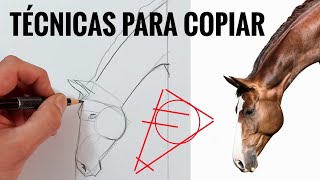 Aprende a COPIAR TODO lo que VES