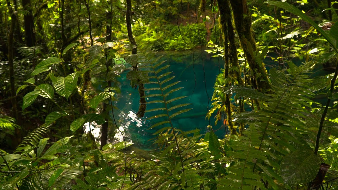 Wild Sumatra | Sony A6500